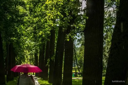 Gatchina Park Múzeum-megőrzése Gatchina, Budapest