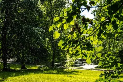 Gatchina Park Museum-Preserve Gatchina, București