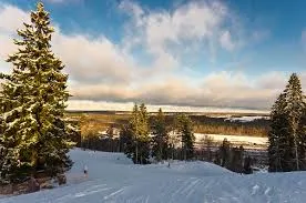 Sípálya „Ohta Park” budapesti iskola, az árak és családi