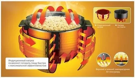 Inducție de mai multe principii de lucru, avantaje și dezavantaje