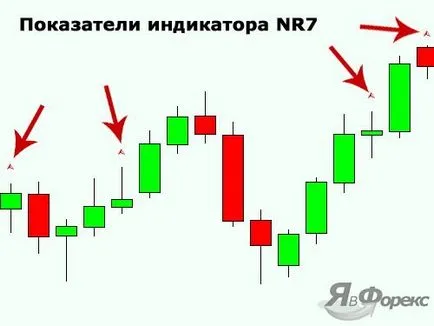 Показател люлки NR 7