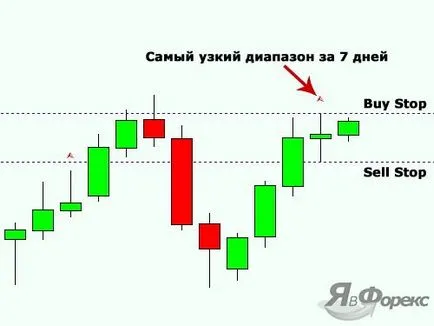 Показател люлки NR 7