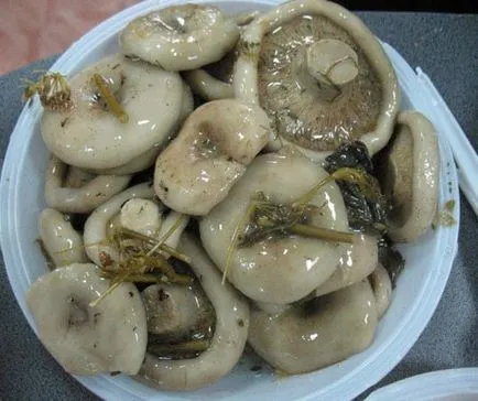 Gomba téli receptek forró módja (pácolt ecetes nélkül) fotó