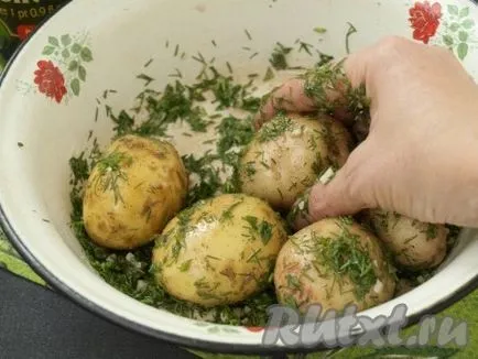 Cartofi copți în cuptor în gaura - rețeta cu o fotografie