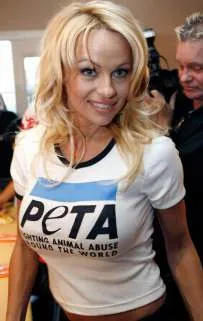 Interjú Pamela Anderson Tom Lee, a műveletek és nem csak sitoraҳo ajándék Osmon ҳunar