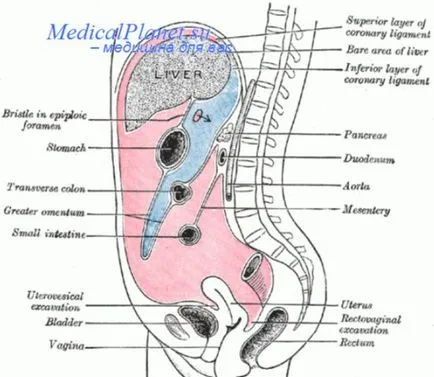 intestinului intubare