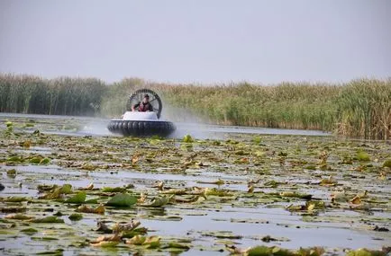 Hogyan működik a hajó mini-teszt légpárnás - hogyan működik a avtoportale