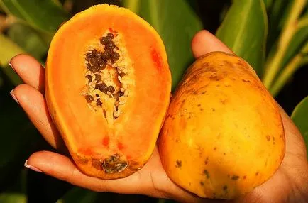Cum să mănânce papaya