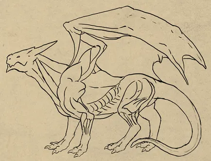 Както анатомично правилна рисунка дракон
