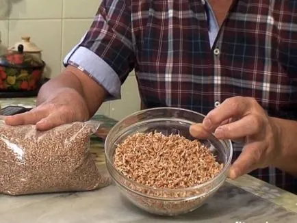 Cum cerealele pot fi hrănite iepuri sfaturi și trucuri - viața mea