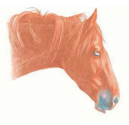 Hogyan kell felhívni a ló színes ceruzák