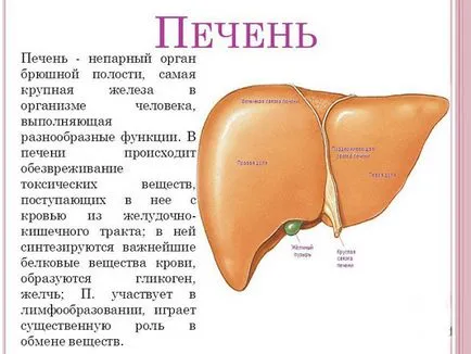 Как да помогнете на черния дроб се възстанови