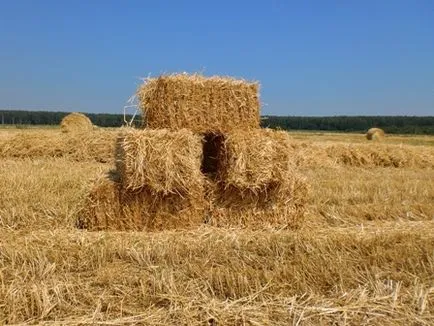 Cum de a construi propriile mâini făcute din paie (balot de paie)