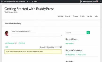 Cum se instalează ghid BuddyPress pentru a instala și configura plugin-ul, totul despre WordPress