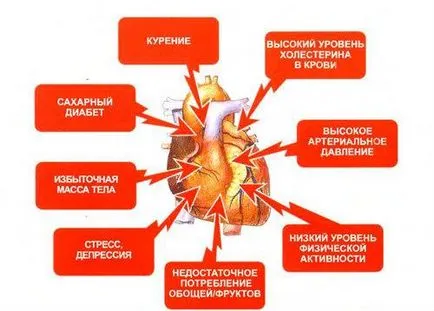 Как да се предотврати заболявания на сърдечно-съдовата система