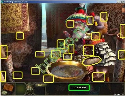 Cum să bată joc Hidden Expedition Amazon în imagini