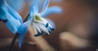 Cum de a fotografia omul care rulează fără autofocus