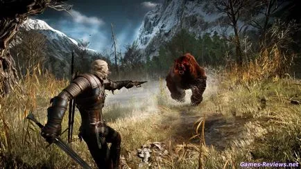 Cum de a trage o arbaletă în Witcher 3