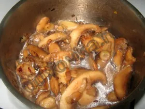 Hús gombával és tejföllel - egy recept lépésről lépésre fotók