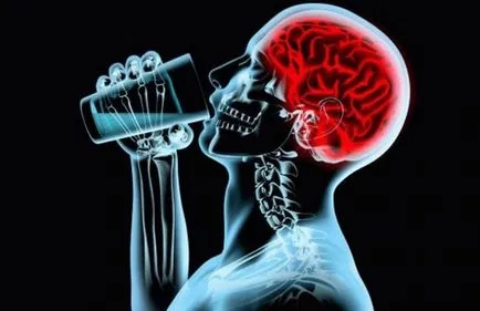 Hogyan működik az alkohol az agyra és annak hatása az idegsejtek