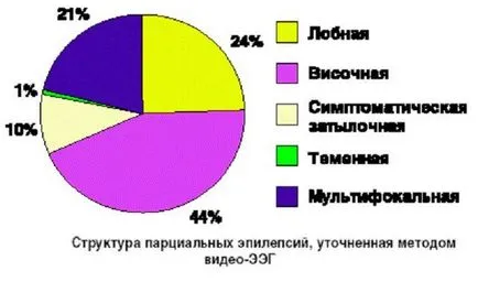 Класификация и видове форми на епилепсия изземване и симптоми при възрастни и деца