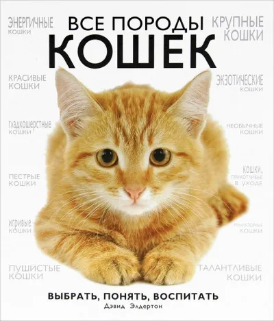 Book elderton Дейвид