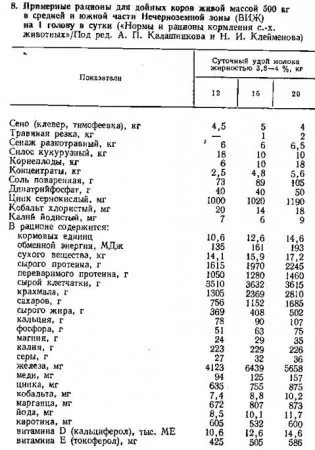 Хранене и едър рогат добитък - всичко за животновъдството