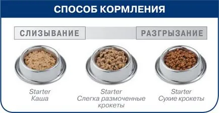 Храна Royal Canin Maxi стартер за едри породи кученца - купуват евтини в Москва евтин