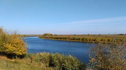 Тръмп мед растение, и агресивен нашественик дойде в Волга