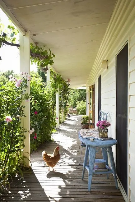 Case frumoase pentru puii de găină