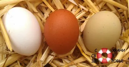 Яйца, тяхна полза и вреда, използването и притежаването