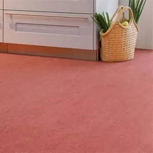 Linóleum és szőnyeg a különböző színű, luxus és kényelem