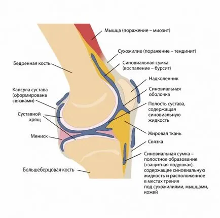 traumatherapy