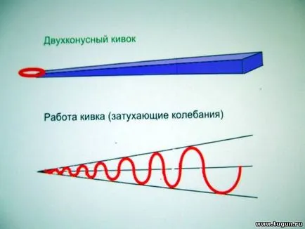 Metal dublu con din cap - mâinile - articolul despre pescuit - pescuit în Siberia