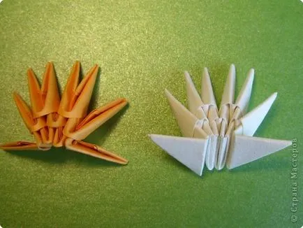 Модулни оригами - протеини - 28ми октомври 2011 - статии - сръчни ръце