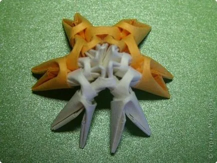 origami modular - proteine ​​- 28 octombrie 2011 - articole - mâini pricepute