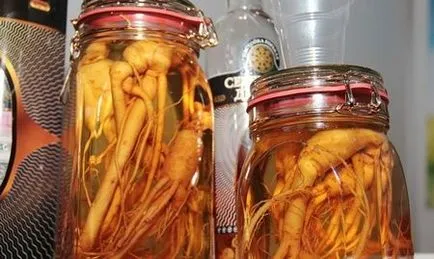 Tinctură de ginseng - rețete și reguli de admitere