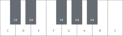 Note privind fretboard chitara