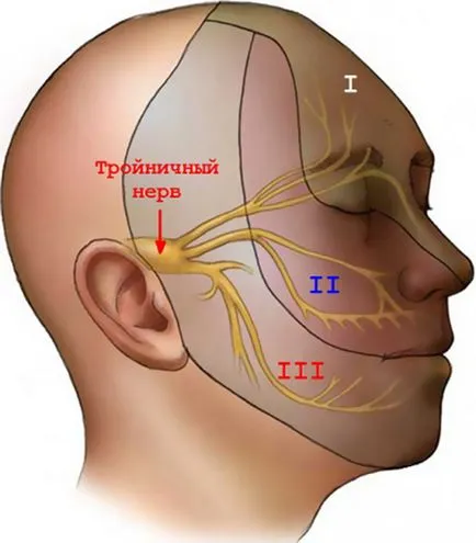 Nevralgie occipital simptome nervoase, tratament