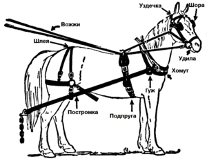 Partea principală a fasciculului pentru cal și populare stiluri de ham de cal