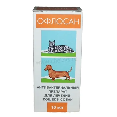 Recenzii oflosan (oflosan) - dog - Lifestyle