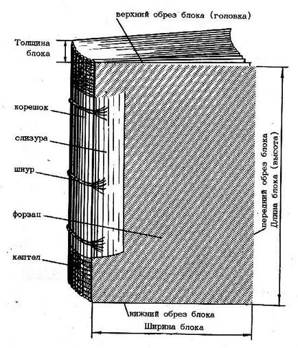 Alapjai Bookbinding