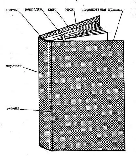 Alapjai Bookbinding