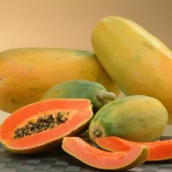 Papaya hasznos tulajdonságok, fotó növények növekvő