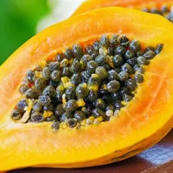Papaya hasznos tulajdonságok, fotó növények növekvő