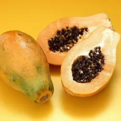 Papaya hasznos tulajdonságok, fotó növények növekvő