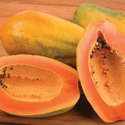 Papaya proprietăți utile, plante fotografie ca în creștere