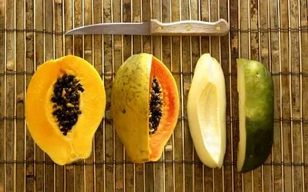 Papaya proprietăți utile, plante fotografie ca în creștere