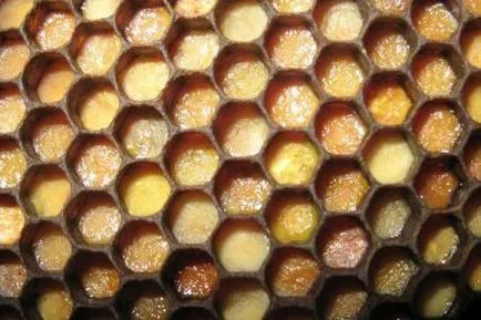 Bee pollen orvosi felhasználásra és kozmetikai szerek