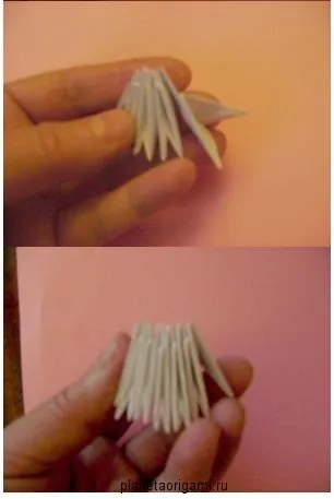 Crafts Origami module animale mari și o lebădă cu microni și video